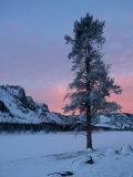 Sunrise - Yellowstone