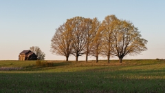 Boon, Michigan Landscape