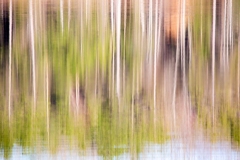 Abstract Landscape - Michigan